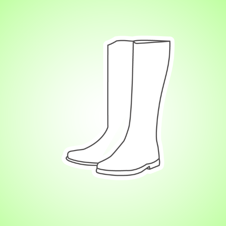 Сапоги Кирза