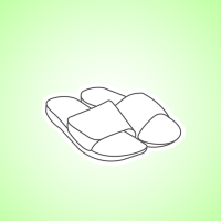 Шлепки Задира