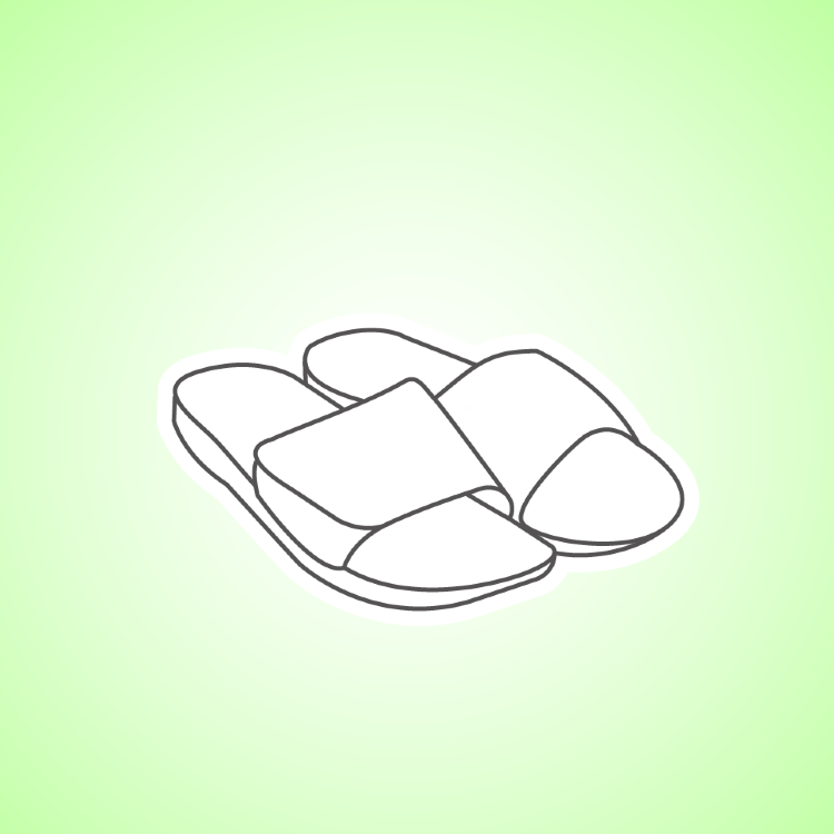 Шлепки Задира